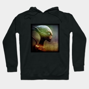 XENOS II - AN ALIEN LIFEFORM Hoodie